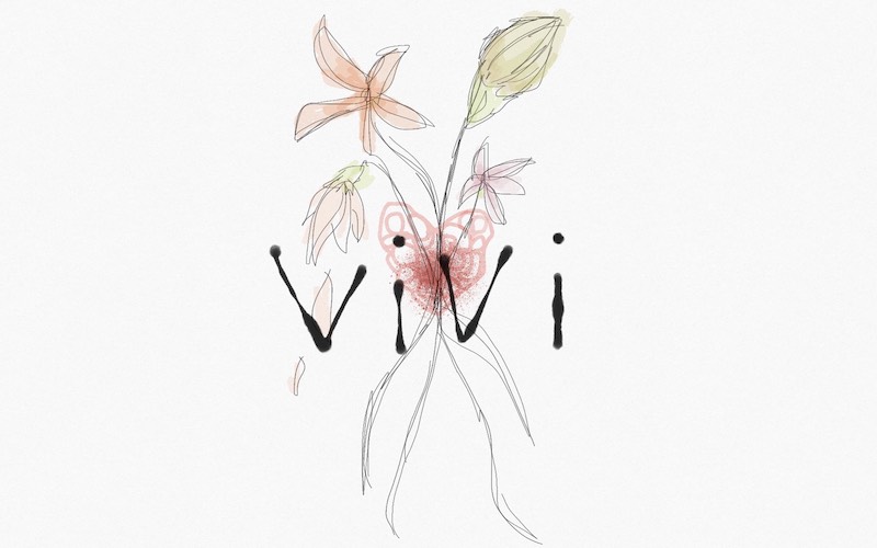 『vivi』イメージ画像